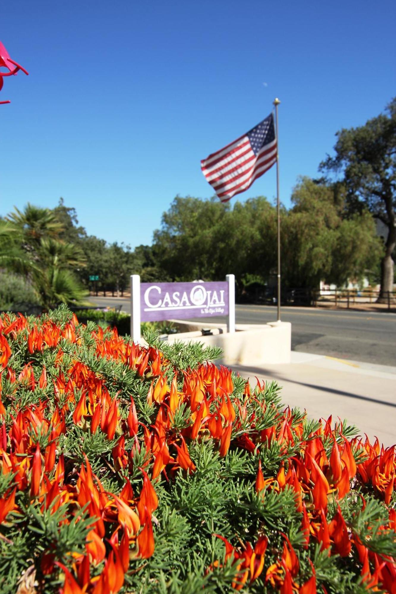 Casa Ojai Inn Ngoại thất bức ảnh