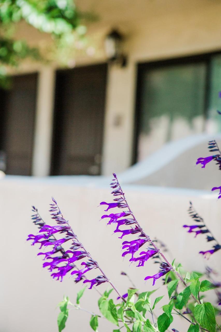 Casa Ojai Inn Ngoại thất bức ảnh