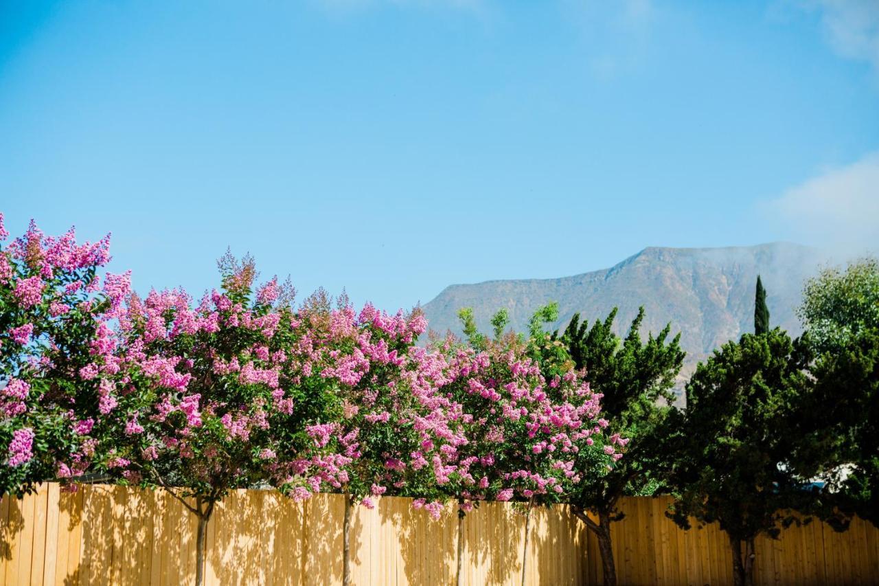 Casa Ojai Inn Ngoại thất bức ảnh